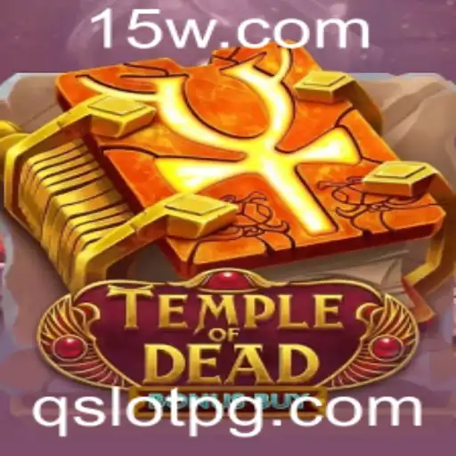 qslot Promoções